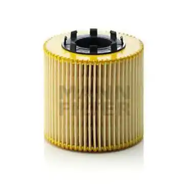 Chilipir Filtru ulei Mann-Filter HU 923 x Mann-Filter