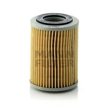 Filtru ulei Mann-Filter H 716 1 x Mann-Filter Transport gratuit