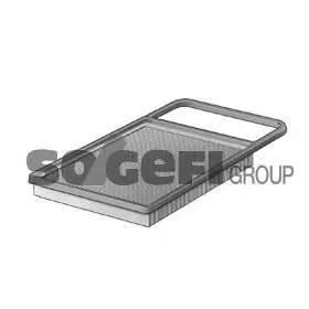 Filtru aer PURFLUX A1273 PURFLUX Cumpărături sigure