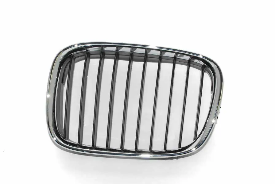 Cumpărături sigure Grila radiator stanga, BMW Seria 5 E39, 1995-2000, 6502-07-0065991P