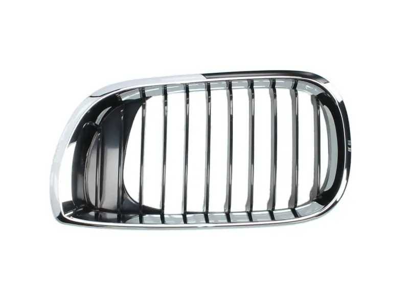 Grila radiator stanga, BMW Seria 3, 2001-2005, 6502-07-0061991AP Livrare expres