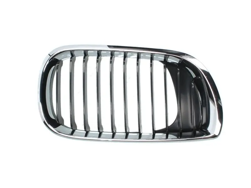 Grila radiator dreapta, BMW Seria 3, 2001-2005, 6502-07-0061992AP Ofertă specială