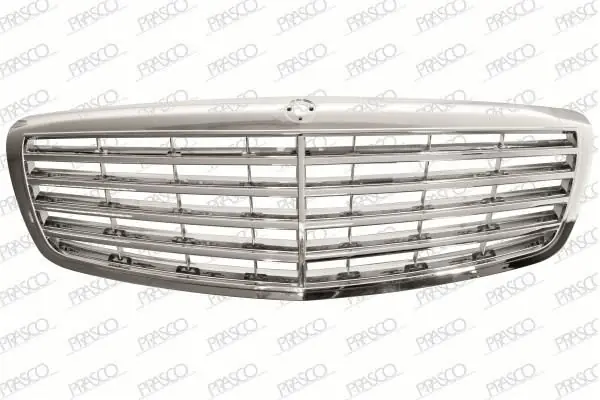 grila radiator mercedes s-class 2005-2009 Premium