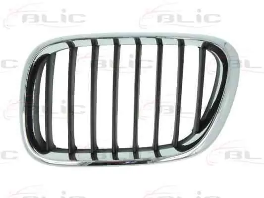 grila radiator stanga/dreapta bmw x5 2000-2003 Ofertă limitată