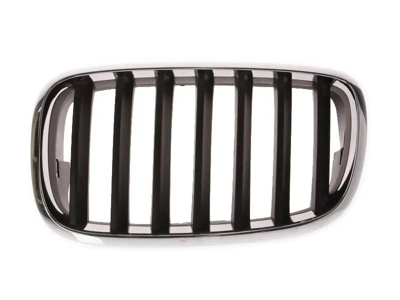 Discount Grila radiator stanga, BMW X6 E71, 2008-2012, 6502-07-0096991P