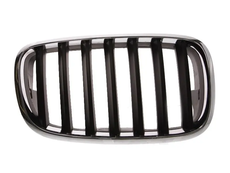 Grila radiator dreapta, BMW X6 E71, 2008-2014, 6502-07-0096992P Livrare rapidă