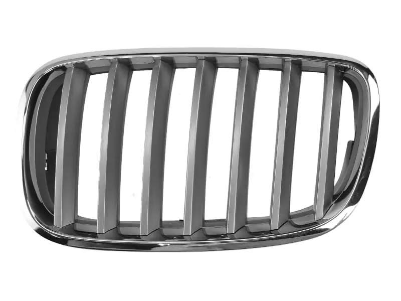 Grila radiator stanga din titan, BMW X5 E70, 2007-2013, 6502-07-0096991PP Preț promoțional