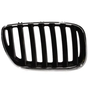 Transport gratuit Grila radiator dreapta BMW X5 E53 2003-2006, 6502-07-0095996P