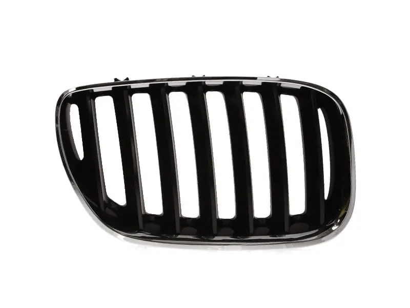 Transport gratuit Grila radiator dreapta BMW X5 E53 2003-2006, 6502-07-0095996P