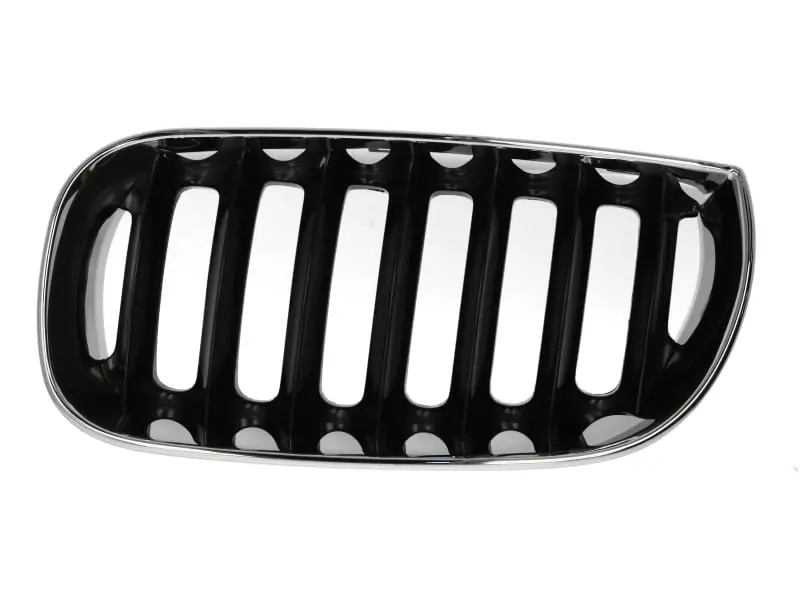 Grila radiator stanga, BMW X3 E83, 2003-2006, 6502-07-0093991P Discount