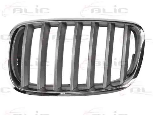 grila radiator stanga/dreapta bmw x6 2007-2010 Plată sigură